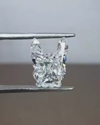 Frenchie Diamond Necklace