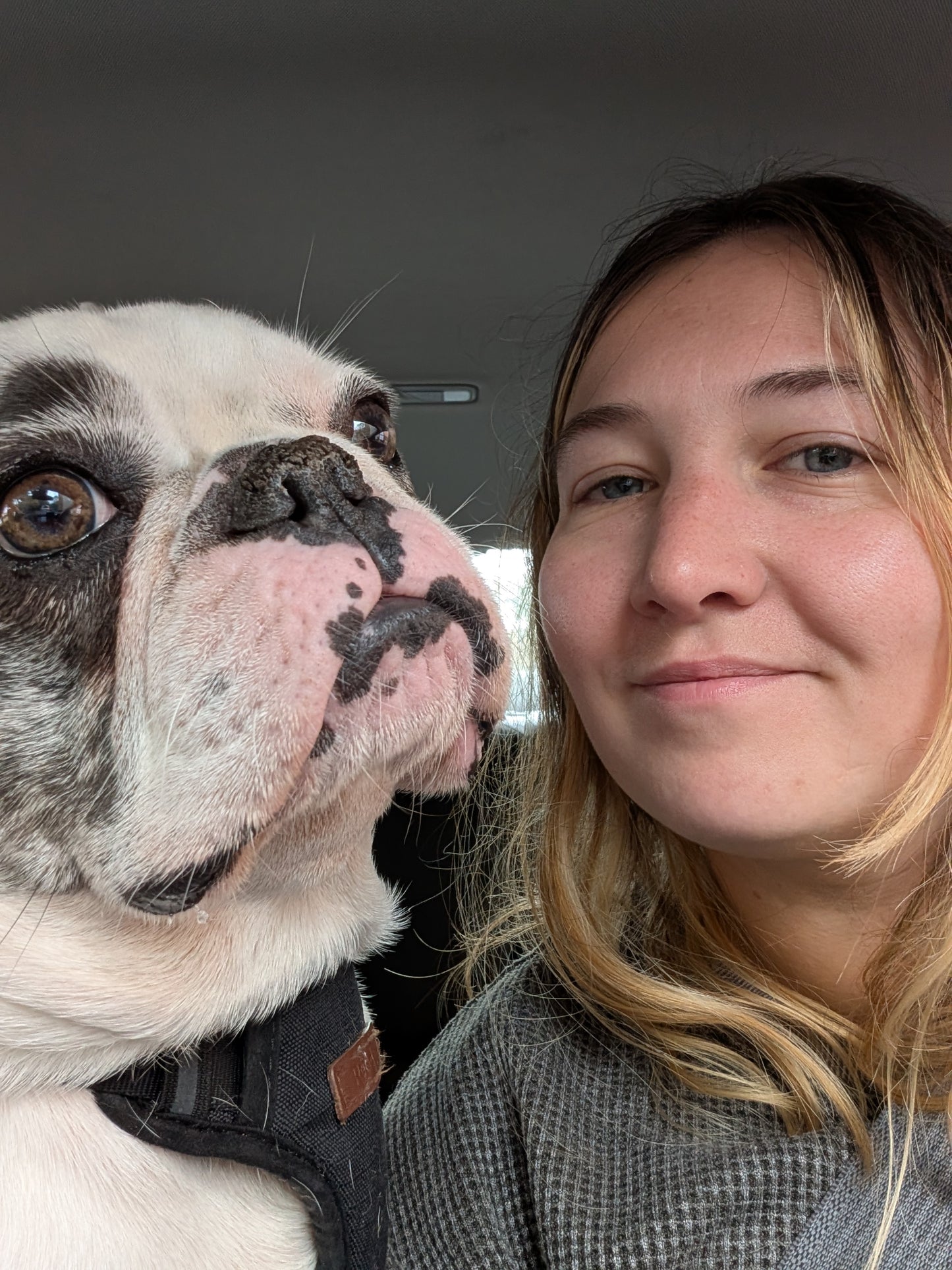 Frenchie Diamond Necklace